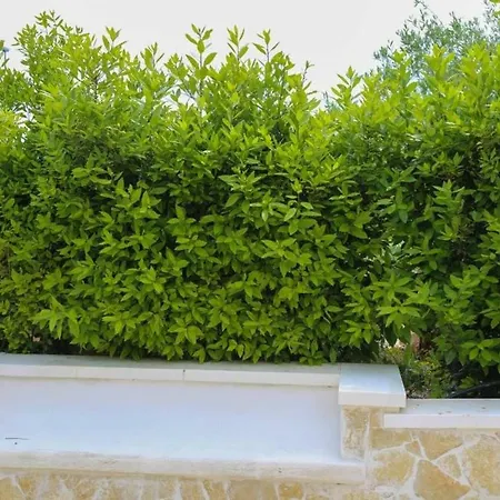 Apartman Casa Gardenia 2 Km Da